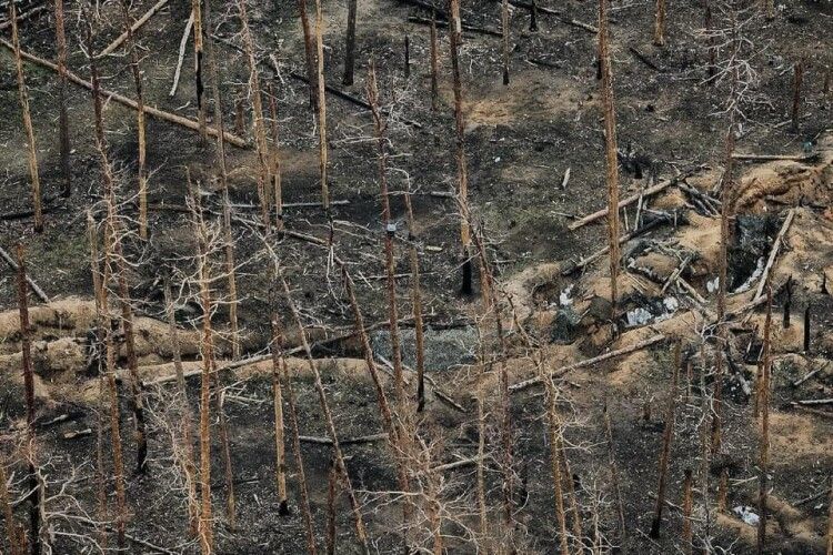 На світлинах показали будні Серебрянського лісу на Луганщині (Фото)