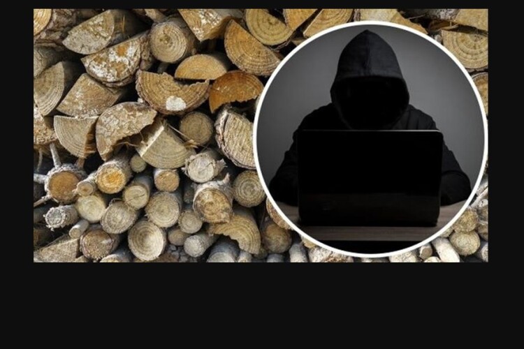 Шахрай залишив без дров і грошей чергову довірливу волинянку