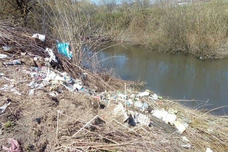Під час екологічної толоки з Луцька вивезли 15 вантажівок зі сміттям