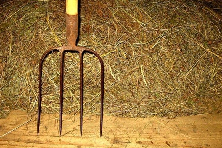  У Шацькому районі затримали волинянина за замах на вбивство пенсіонера