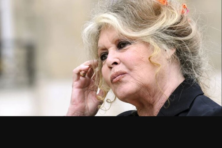 У віці 91 рік зупинилося серце легендарної Бріжит Бардо