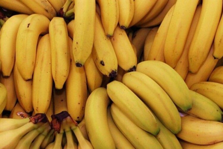 Над плантаціями бананів у Південній Америці нависла смертельна загроза 