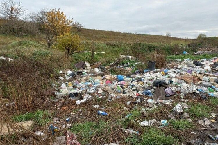 У Луцькому районі невідомі перетворили земельну ділянку на смітник