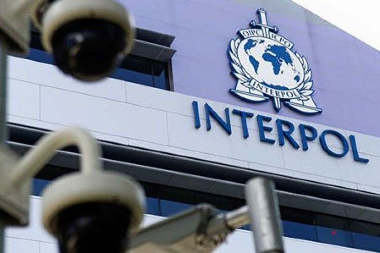Інтерпол у Франції затримав організатора «тітушок», який керував Крисіним