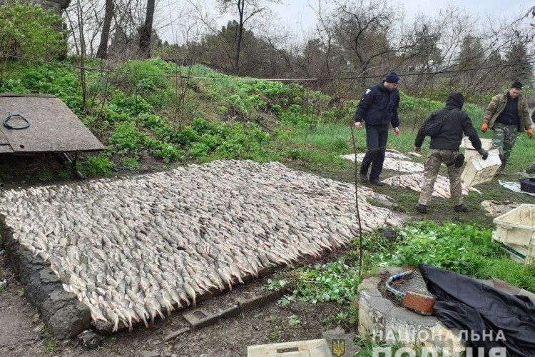З 1 квітня поліцейські вилучили у браконьєрів 6 тонн риби