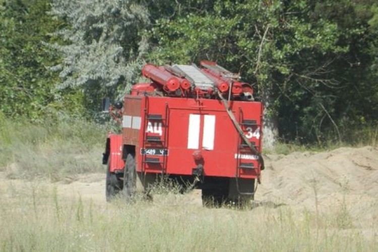 На Херсонщині горіло 40 гектарів лісу