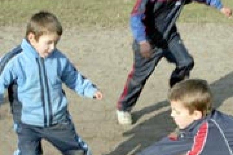 СІЛЬСЬКА ШКОЛА: у нас свої Лобановські й Блохіни