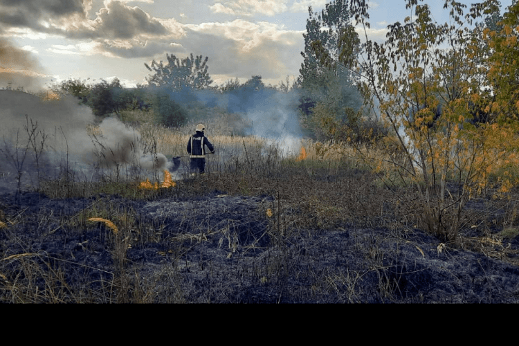 В обласному центрі Волині невідомі підпалили суху траву на чималій території