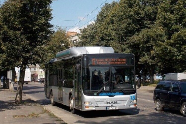 6  МАНів замість 12 «маршруток»: у Луцьку на вулицях з’явились комфортабельні автобуси