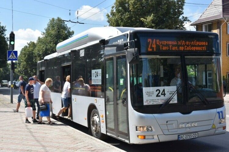 Сьогодні у Луцьку на маршрут виїхали п’ять екологічних автобусів