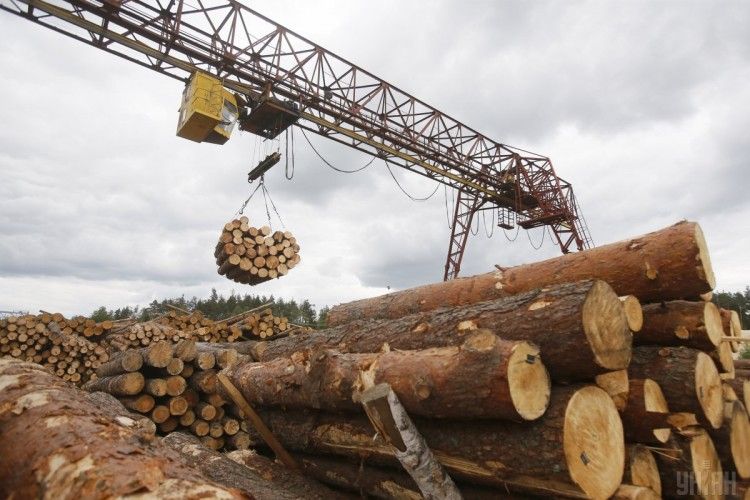 Гройсман заявив, що не хоче керувати країною-лісопилкою