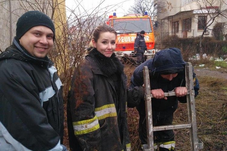 На Закарпатті рятувальники провели безпрецедентну операцію – визволили з теплотраси пса