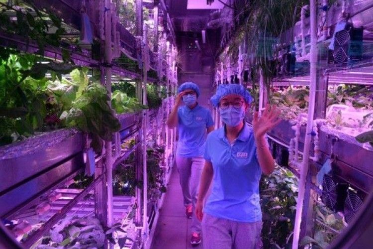 Китайці всерйоз готуються жити на Місяці