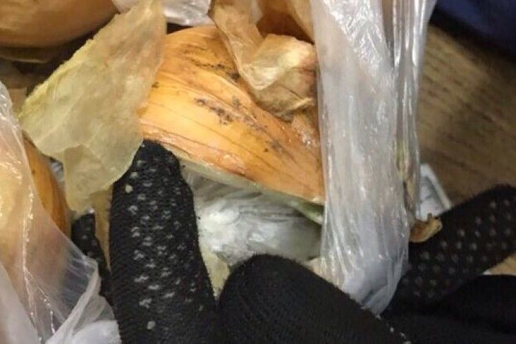 На Харківщині прикордонний пес знайшов цибулю з «травичкою» (відео)