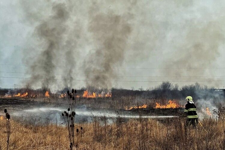 На Волині 55 га знищені вогнем через людську недбалість