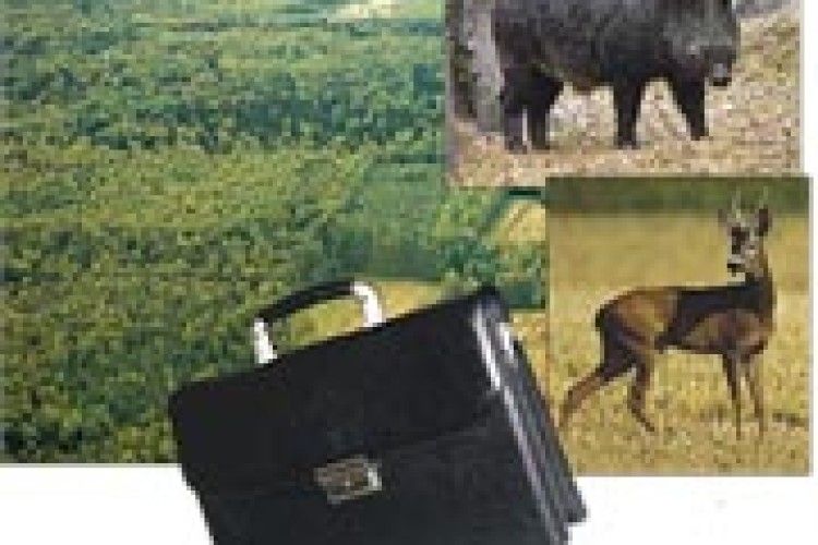 ОБЛАСНА РАДА ДОВІРИЛА МИСЛИВСЬКІ УГІДДЯ ГРОМАДІ