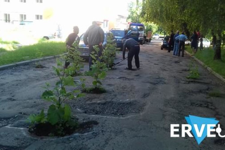 «Нема дороги – буде парк!»: рівняни засадили вибоїни деревами (фото)