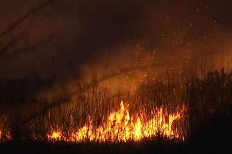 На Волині вигоріло понад 80 гектарів сухої трави 