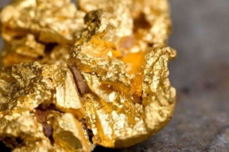 Вчені знайшли вид грибів, який виділяє золото