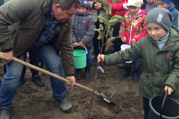 Біля школи в Чорторийську будуть яблуні цвісти (фото)