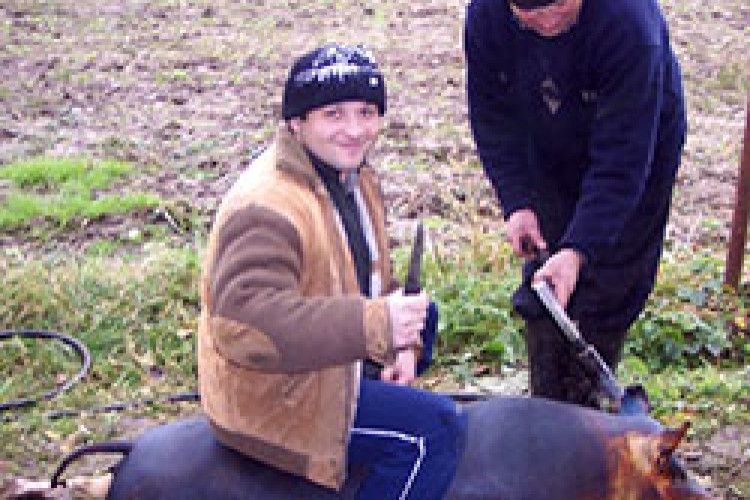 ФОТО НА КОНКУРС: «як кормили – так і маєм»
