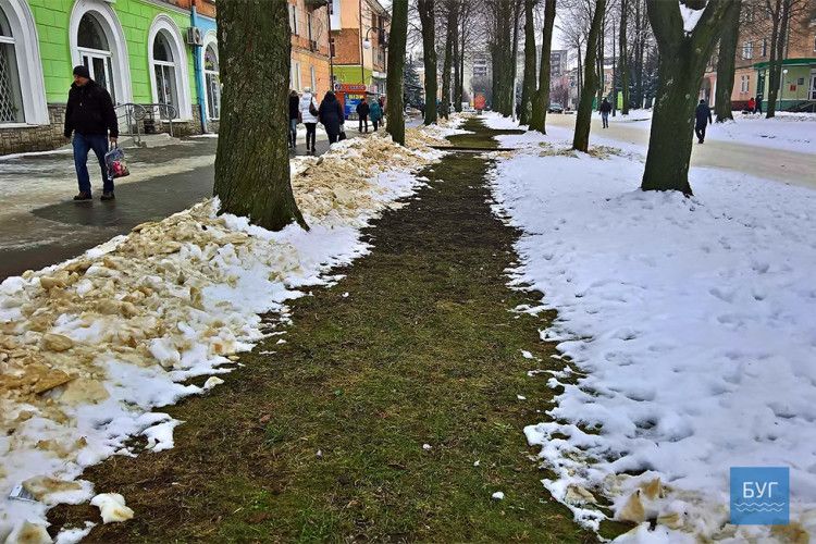 На радість Путіну в Нововолинську скоро зацвітуть тюльпани (фото)