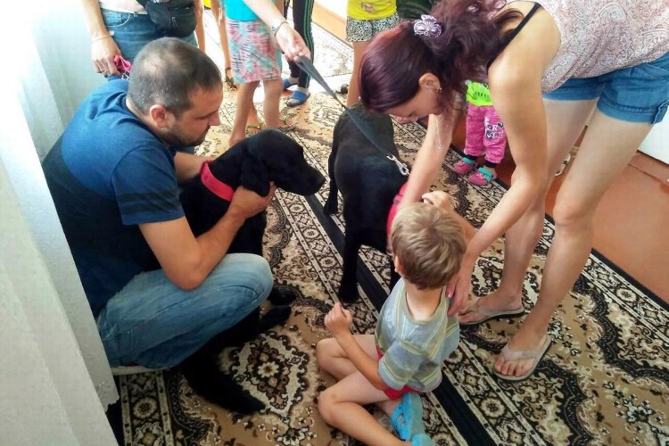 У «Дачному» діти знайомилися із новими чотирилапими «лікарями»