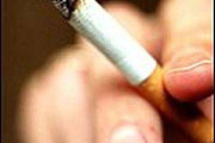 КУРЦІ ВІД МІЛІЦІЇ НЕ ХОВАЮТЬСЯ