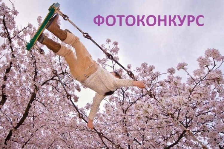Фотоконкурс Вишнівської ОТГ: визначили найкращі фото цвітучої вишні