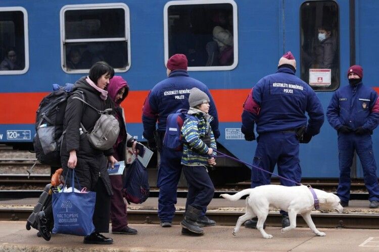 Кількість біженців з України в Європі може зрости до 5 мільйонів
