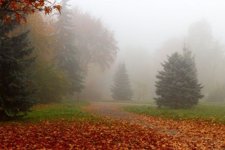 Погода на неділю, 20 жовтня: вранці туман, а вдень – хоч загоряй!