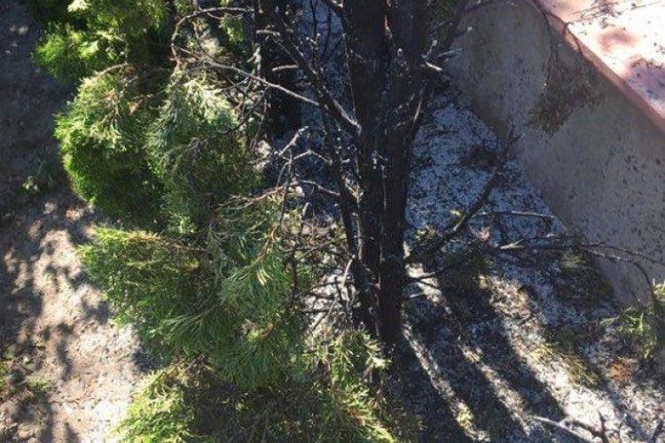У Луцьку біля будинку підприємця пролунав вибух (фото)