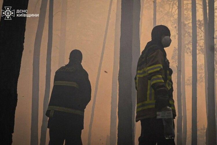 У Чорнобильській зоні вирує масштабна лісова пожежа (Фото)