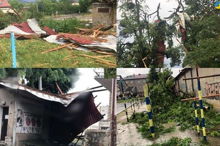 У сусідній з Волинню області ураган повиривав дерева і поперекидав авто (Відео)