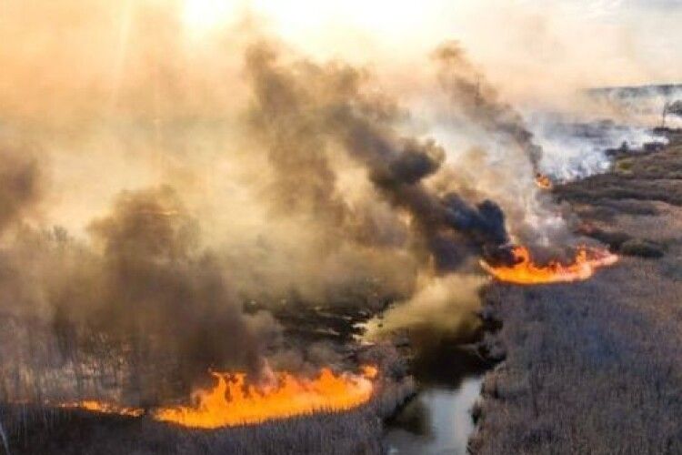 У Чорнобильській зоні вирує найбільша за поточний рік пожежа