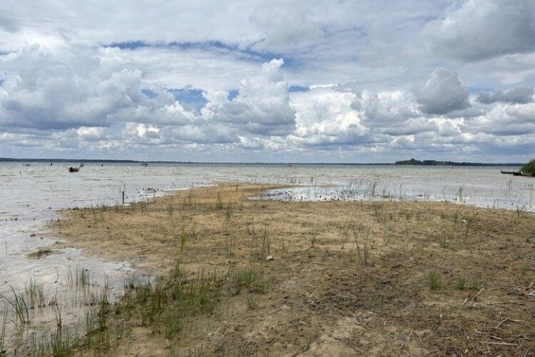 Дощі не допомогли: в озері Світязь знову впав рівень води