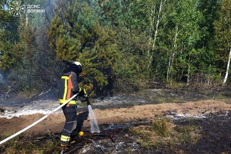 Один сірник – і палають поля: у двох районах Волині гасили пожежі сухостою