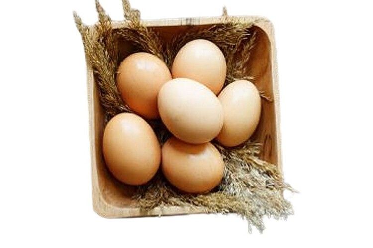 В одній бочечці ховаються, але не змішаються: найкращі рецепти страв з яєць
