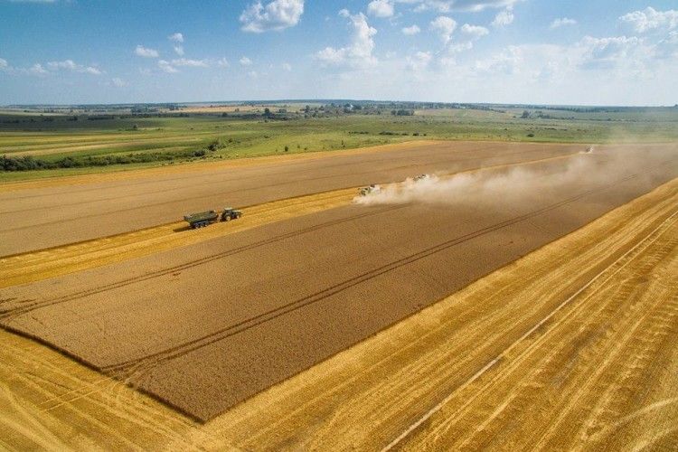 На Волині зібрали майже 97% посівів ранніх зернових