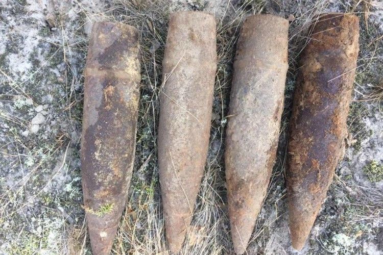 На Волині піротехніками знешкоджено 6 вибухонебезпечних предметів минулої війни