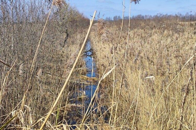 У якому стані перебувають меліоративні канали на Ковельщині