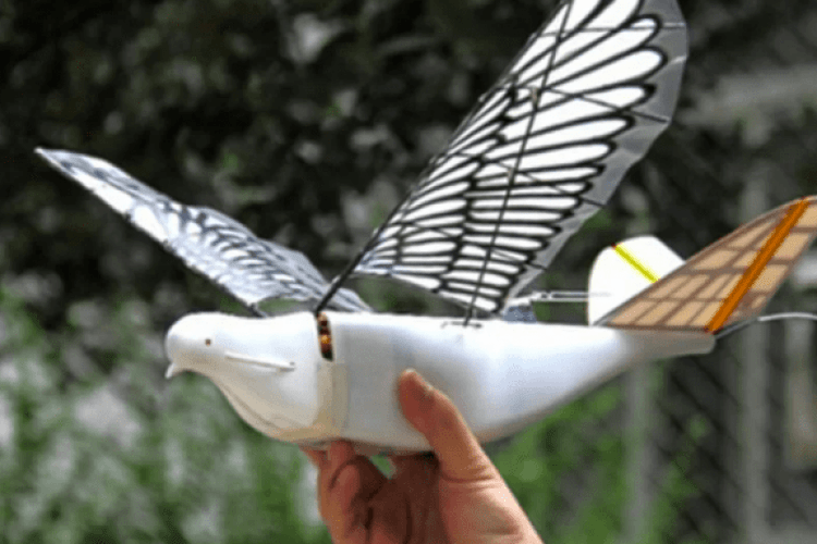 У Китаї для патрулювання використовують дронів, що виглядають, як голуби