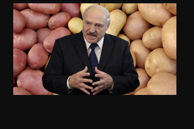 Лукашенко порадив білорусам їсти менше... картоплі