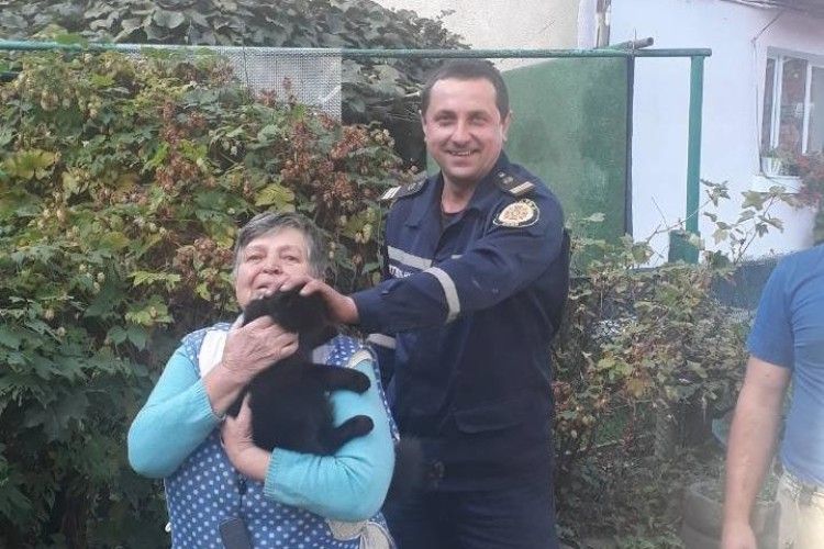 Вусата Муня залізла на високу березу і три дні галасувала