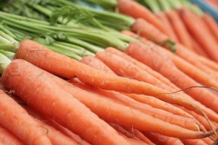 Від дефіциту моркви нас рятують білоруси