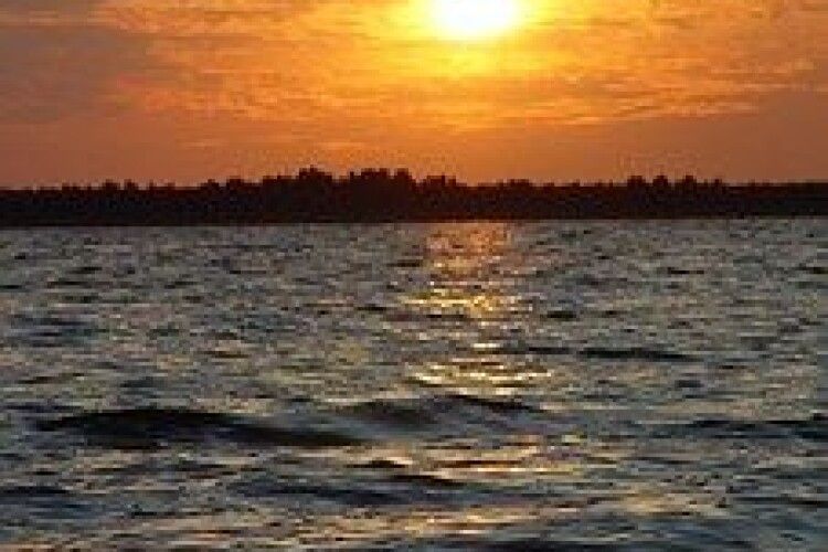 Ремонт шлюзу на Світязі міг би вирішити проблему обміління озера