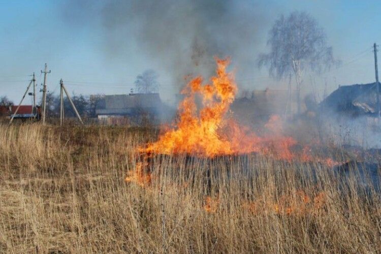 Волинян попередили про найвищий рівень пожежної небезпеки 