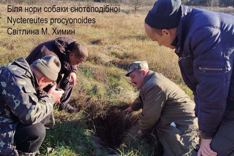 На заповідній території Волині виявили сліди рідкісних червонокнижних тварин 