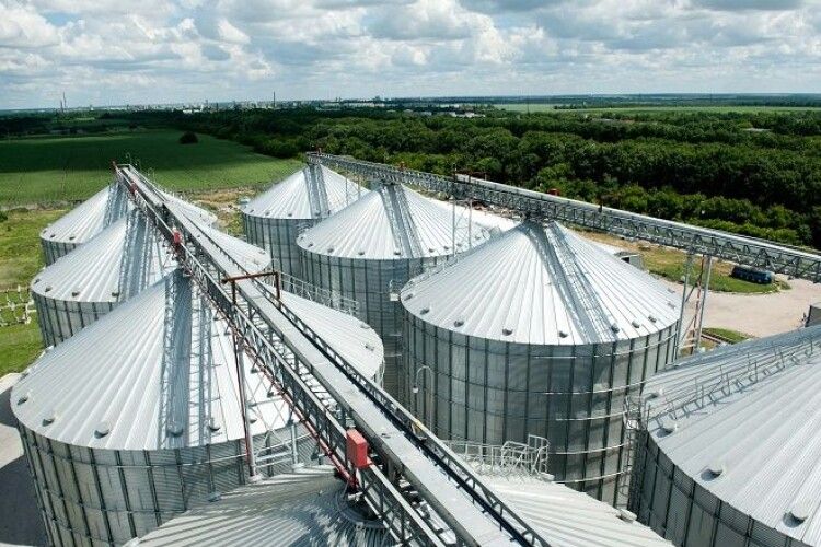 За останні 10 років урожайність зернових на Волині збільшилась майже у два рази