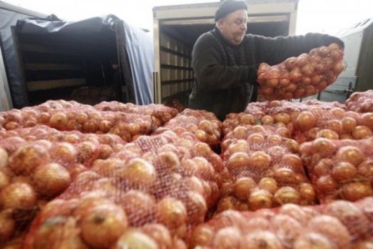 У січні-лютому українці встановили історичний рекорд із наминання імпортної цибулі